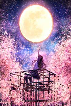 旧爱如萤火，何以逾星辰后续+番外