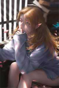 情似残梦随风逝广告+结局