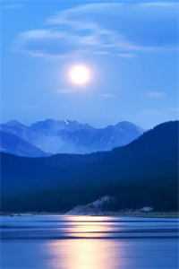 出宫前夜：疯批太子囚我入东宫完整版