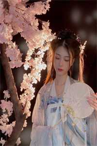 明月再无归处小说免费阅读