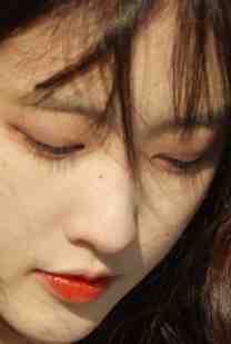 旧梦沉于暮色最新