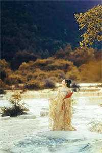 侯门挑金枝全本小说推荐