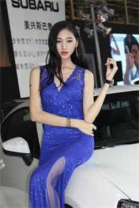 辞舟不系晚来霜全章节