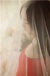 爱似海棠花落畅读