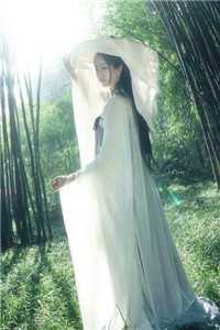 她与野风赴山海优质全文阅读