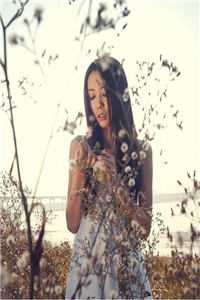 雁过无声秋爆款宝藏