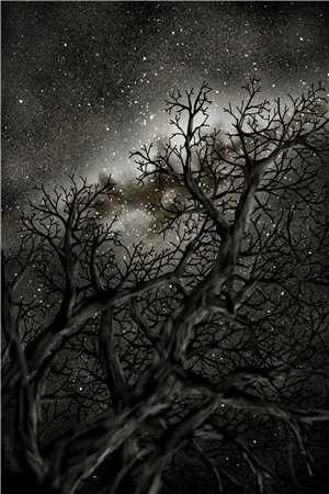 明月知愁，偏照离人江舒月傅霁寒全文