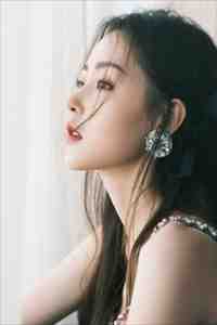 扶摇鹤南飞完整文集阅读