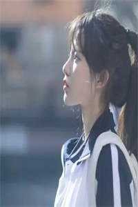 月下清棠落无声在线看