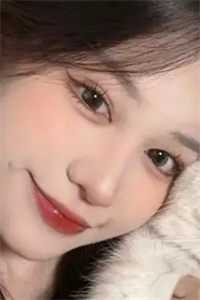 婚不宜迟后续+番外