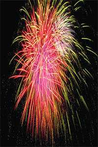 你困夏花，我赴青山精修版