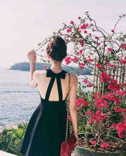 月光散落那星海林思沅傅沉砚全集