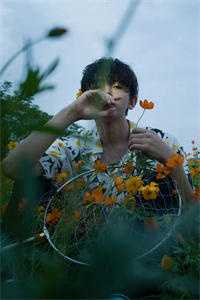 半盏花灯枕明月精彩