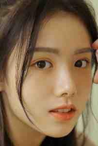 以心为坟，不念前尘在线