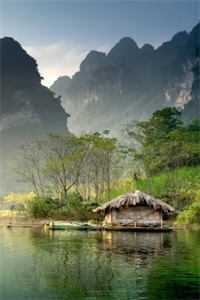 夫向乌思我向京全篇