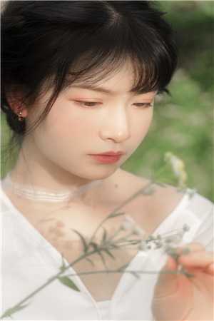 明月清如许，不曾照归人热门小说