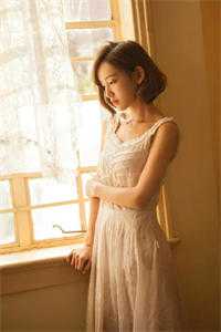 晚风吻过港城月免费阅读