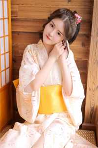 红楼灯火阑珊全集