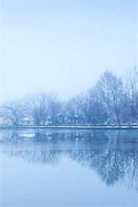 漫漫青禾伴骨笙无删减