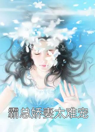 停靠在无人渡口大结局