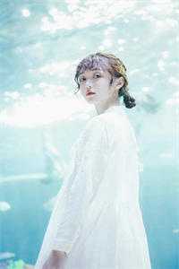 就让往事，消散于风完整