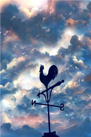 晚来舟楫不相识陆瑾舟倪晚结局+番外