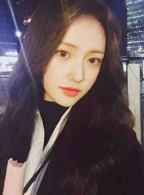 昨夜锦书埋旧雪未删减版