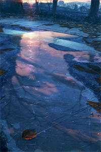 老公为了小青梅害死父母，得知真相后悔疯了青梅妍妍全文