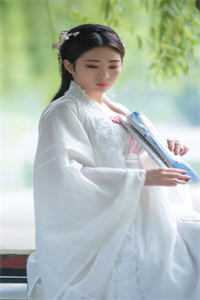 此后风雨皆无我全集