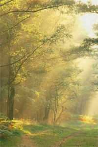 曾经沧海为谁痴后续+结局