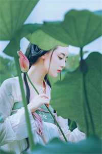 年三十婆婆宣布怀二胎，老公逼我卖房随份子小说大结局