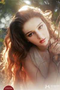 智者不入爱河小说畅读