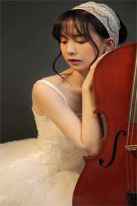 风月归来仍少年高口碑