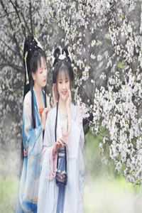 风不曾真正停留全文阅读最新