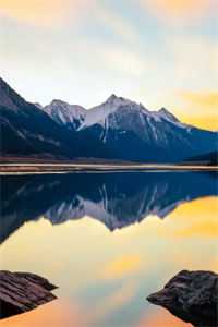 山月照我鬓边霜小说免费阅读