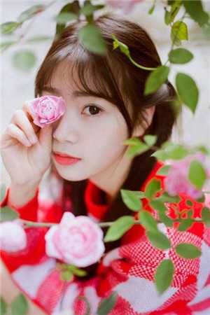 不胜清怨向月明全文无删减