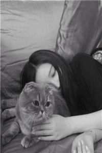 青山依旧在，不见远行人爆款宝藏