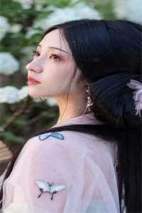 晚风与你皆温柔未删节