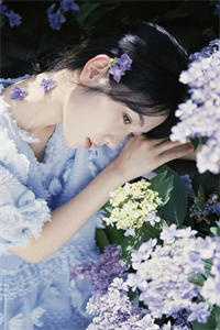 浮生尽处，再无归期小说在线阅读免费