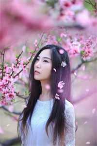 冬雪飘零，情散暮归处免费看