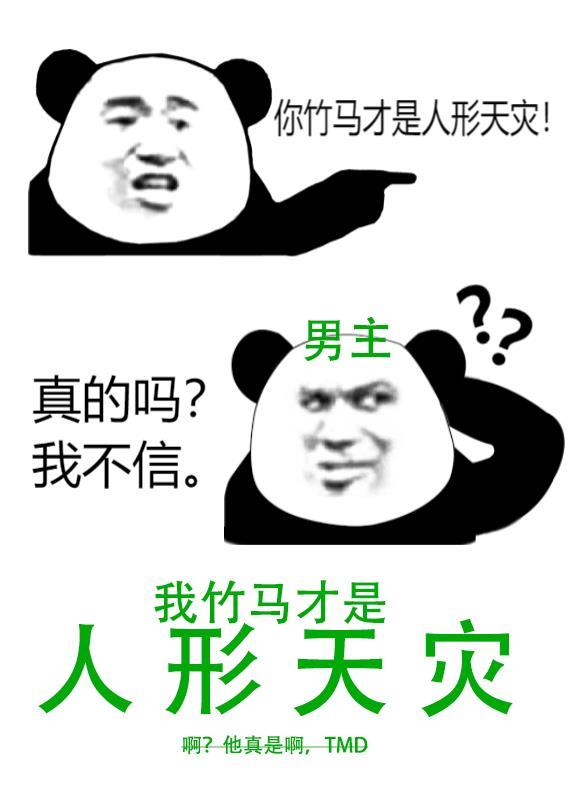 我和总裁那几年沈意沈清后续+完结