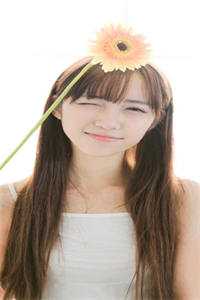 杨过：这次，换我来守护桃花岛完整