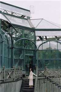 我捧在手心的老婆，说她遇到了真正的灵魂伴侣李鑫王琳后续+完结