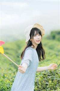 晚风吹尽朝来雨最新章节