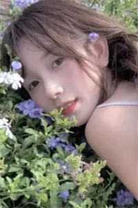 长安落雪，故人不归前文+后续