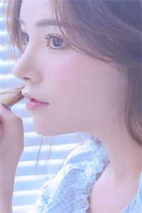 雁过无声秋小说