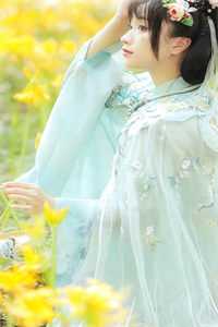 明月清如许，不曾照归人秦峰林清涟大结局