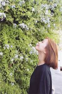 别后花期终未逢夏晚星沈墨全文