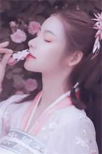 一刀霜刃了情迟无删版