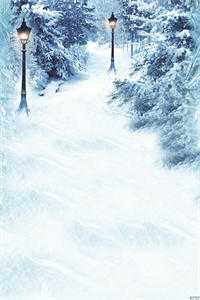 我是山川守着流年结局